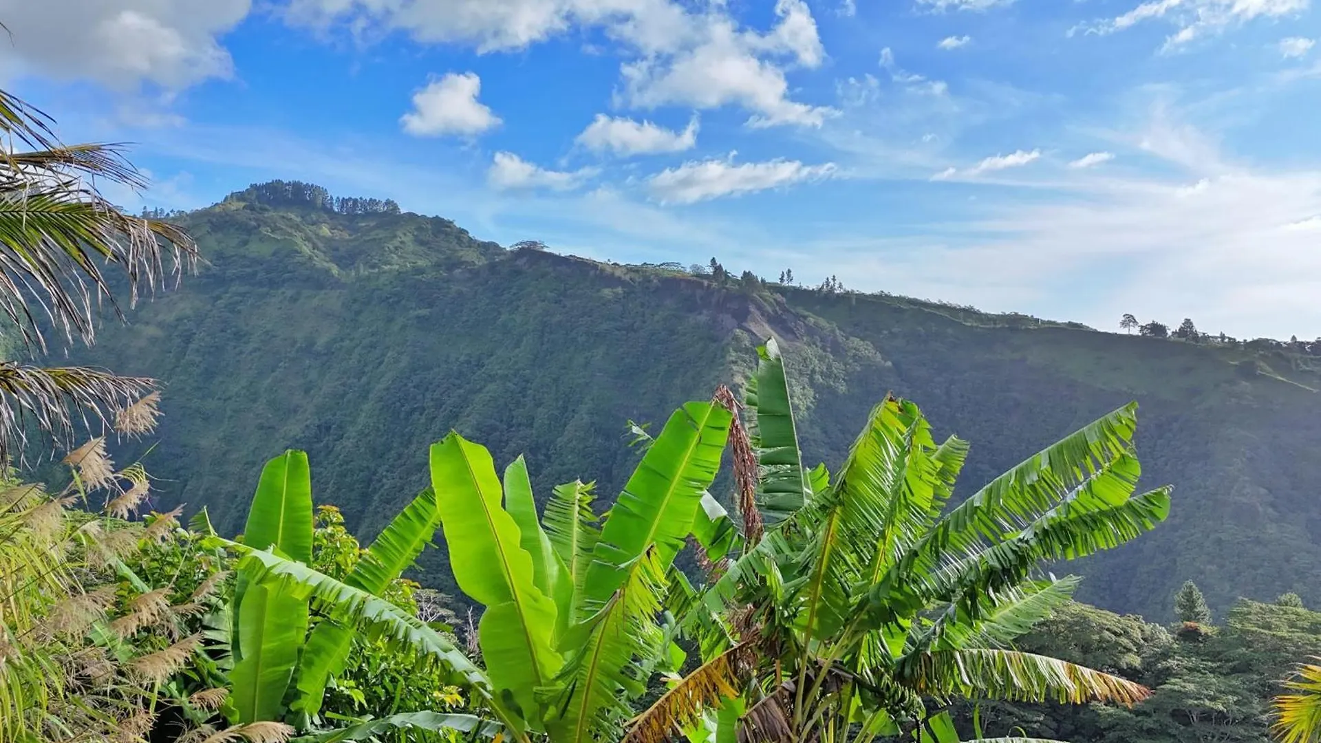Holiday home Moorea Horizon Studio With Panoramic View And Pool Papeete